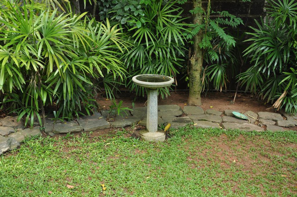 NawalaBangalawa住宿加早餐旅馆 外观 照片